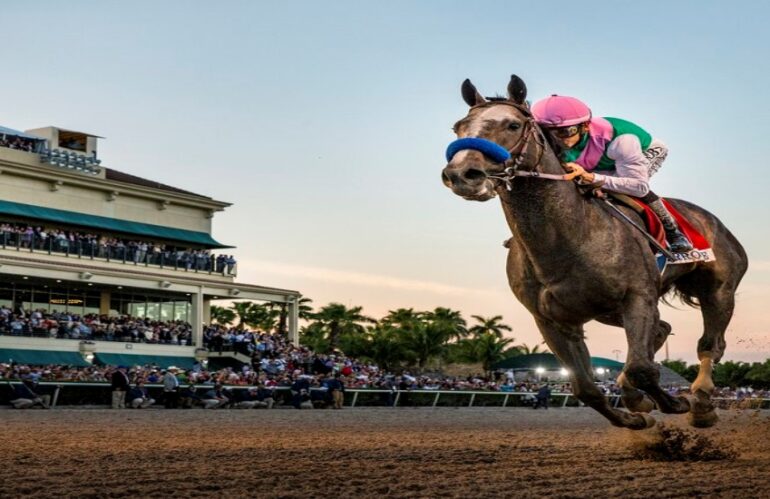 Pegasus World Cup 2023 Preview